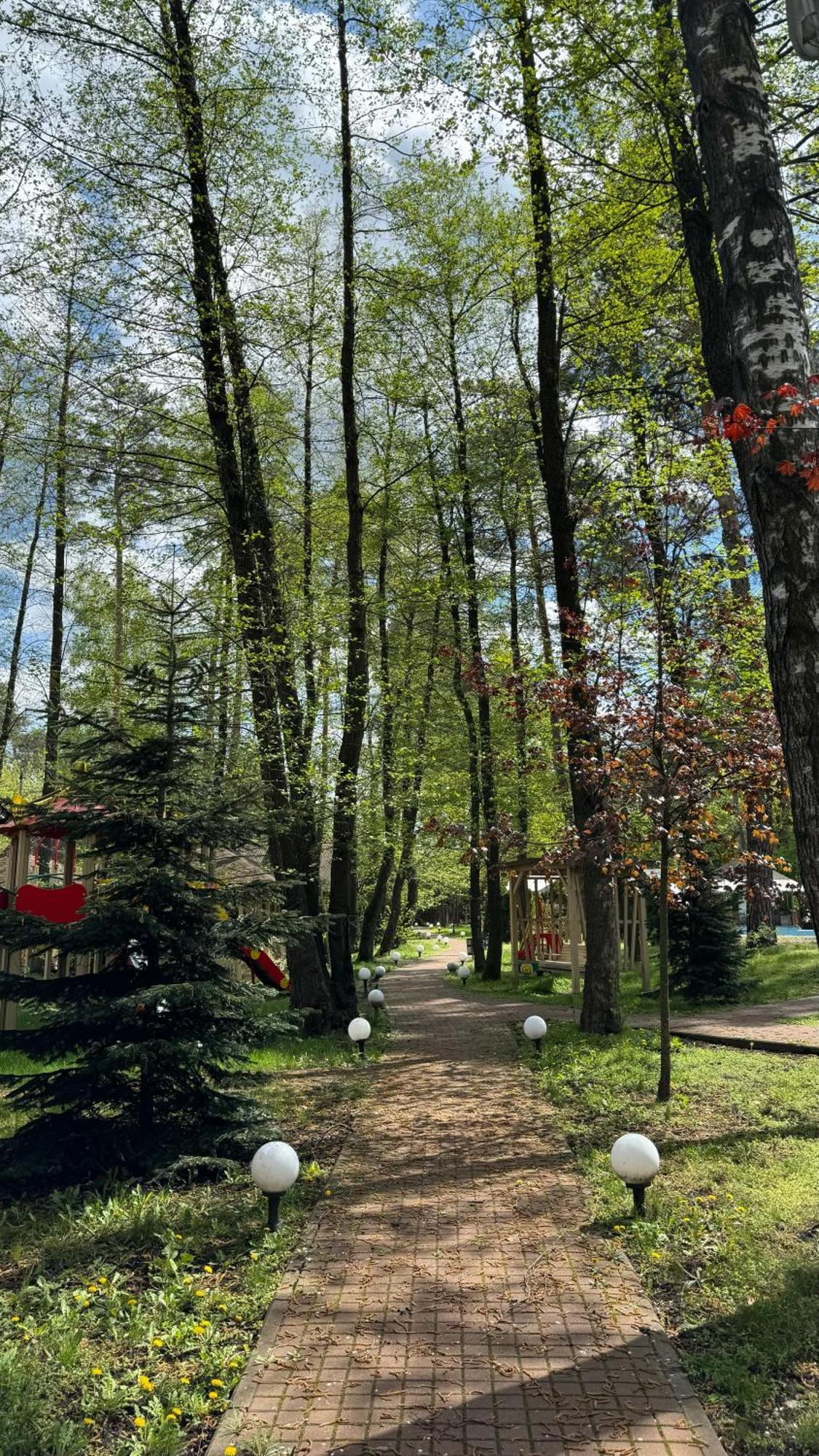 Tysha Forest Club Romankiv ภายนอก รูปภาพ